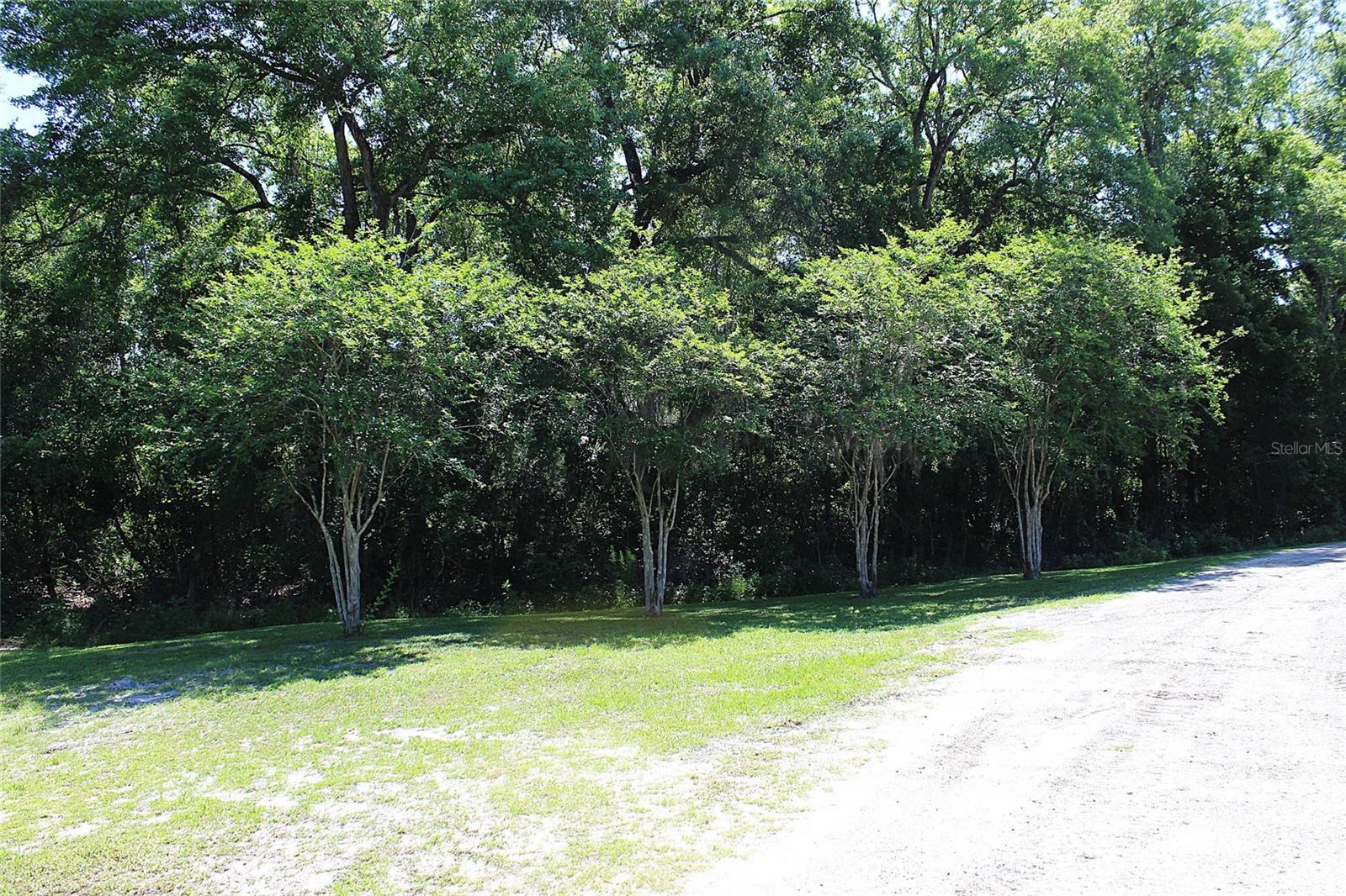 175 E SAN JOSE ST, PALATKA, FL, 32177