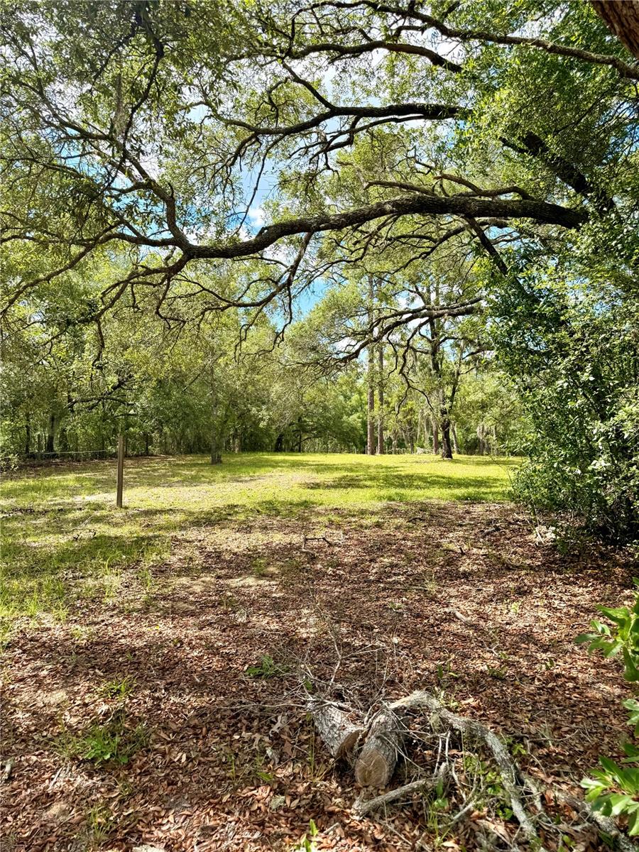 7561 SE 120TH CT, MORRISTON, FL, 32668