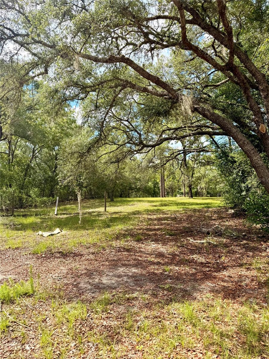7561 SE 120TH CT, MORRISTON, FL, 32668