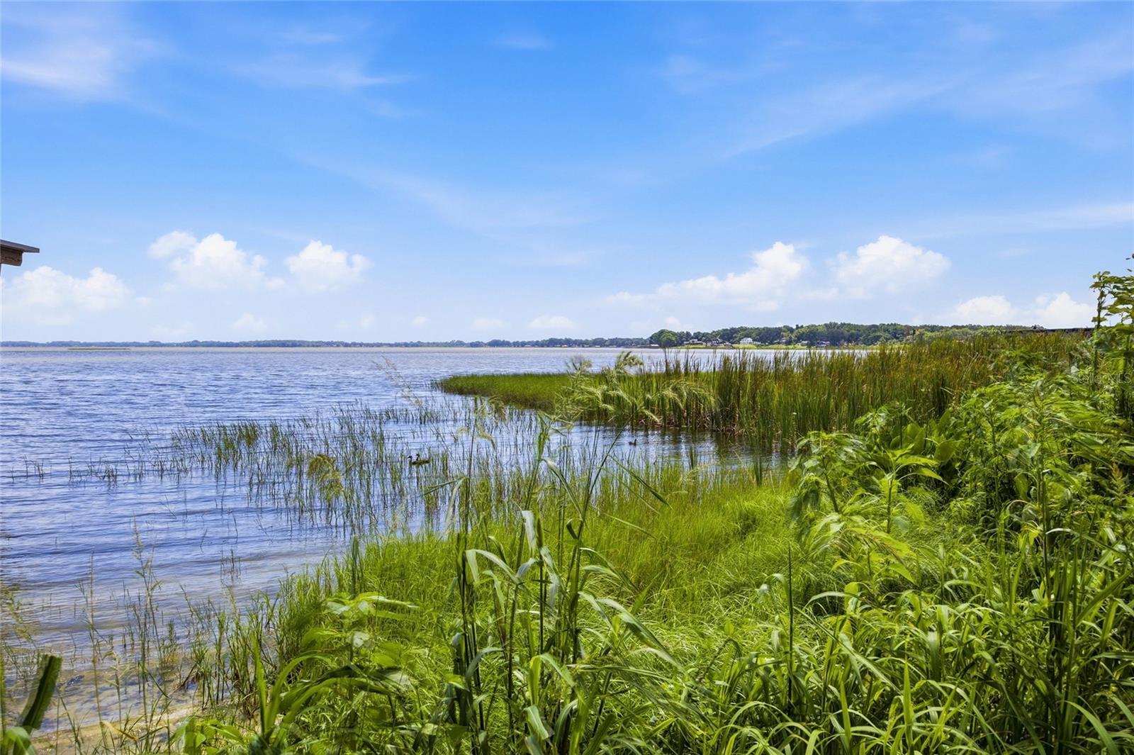 1100 N PALMETTO ST, LEESBURG, FL, 34748