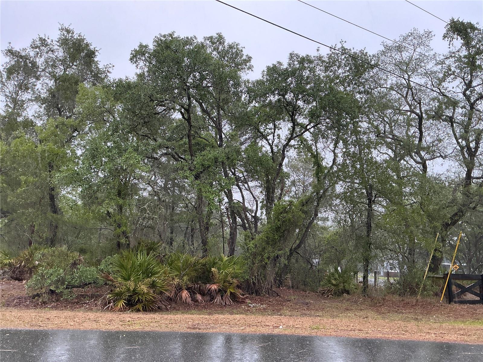 10353 MEADOW WREN AVE, WEEKI WACHEE, FL, 34613