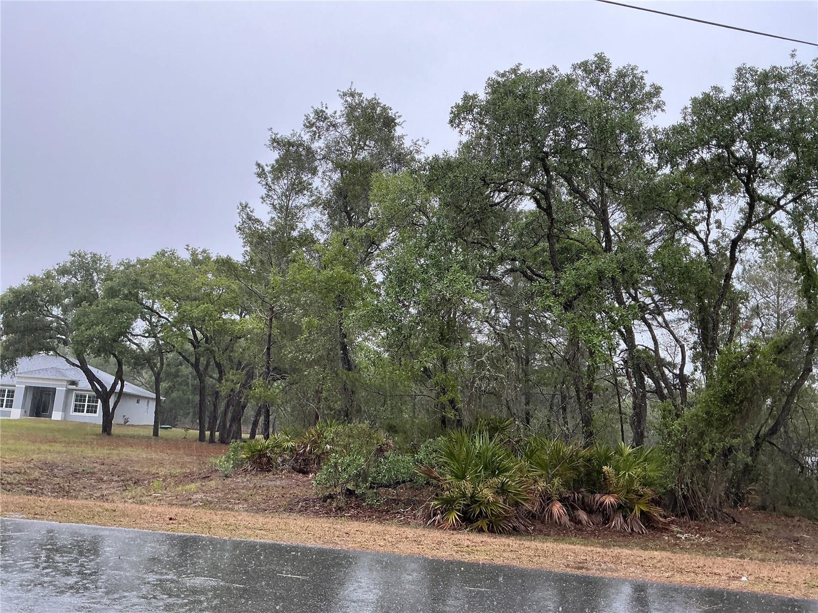 10353 MEADOW WREN AVE, WEEKI WACHEE, FL, 34613