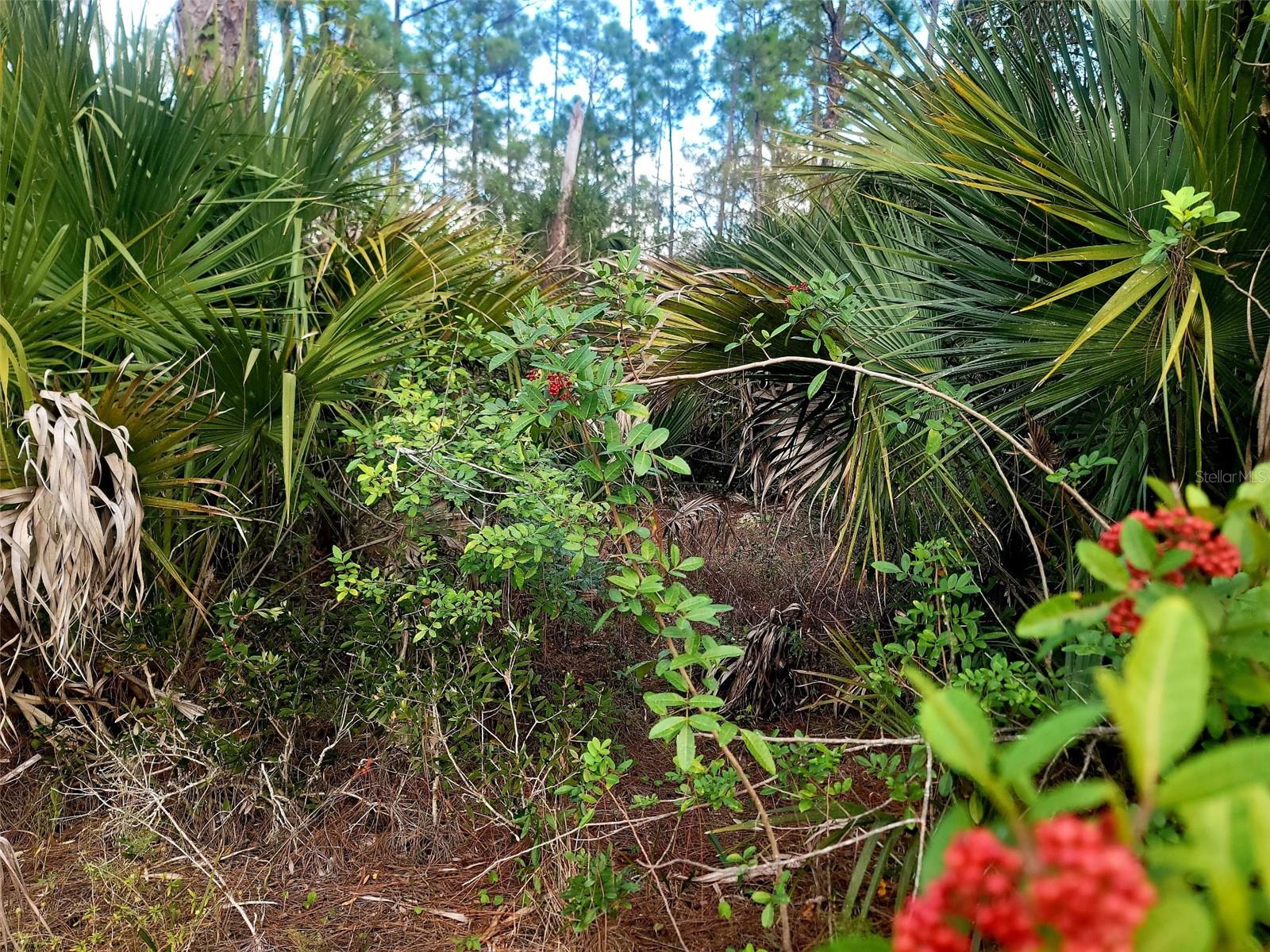 141 NAPLES AVE S, LEHIGH ACRES, FL, 33974