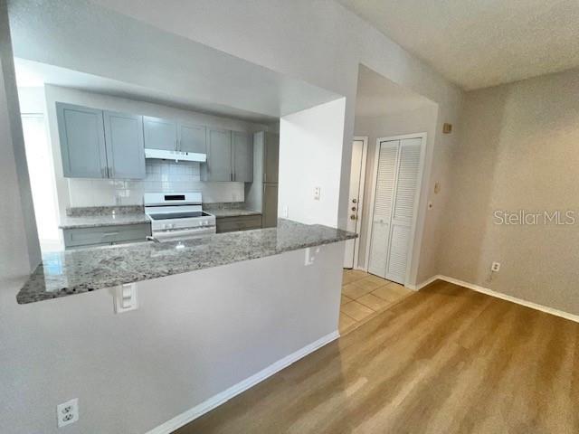 420 SUMMIT RIDGE PL #306, LONGWOOD, FL, 32779