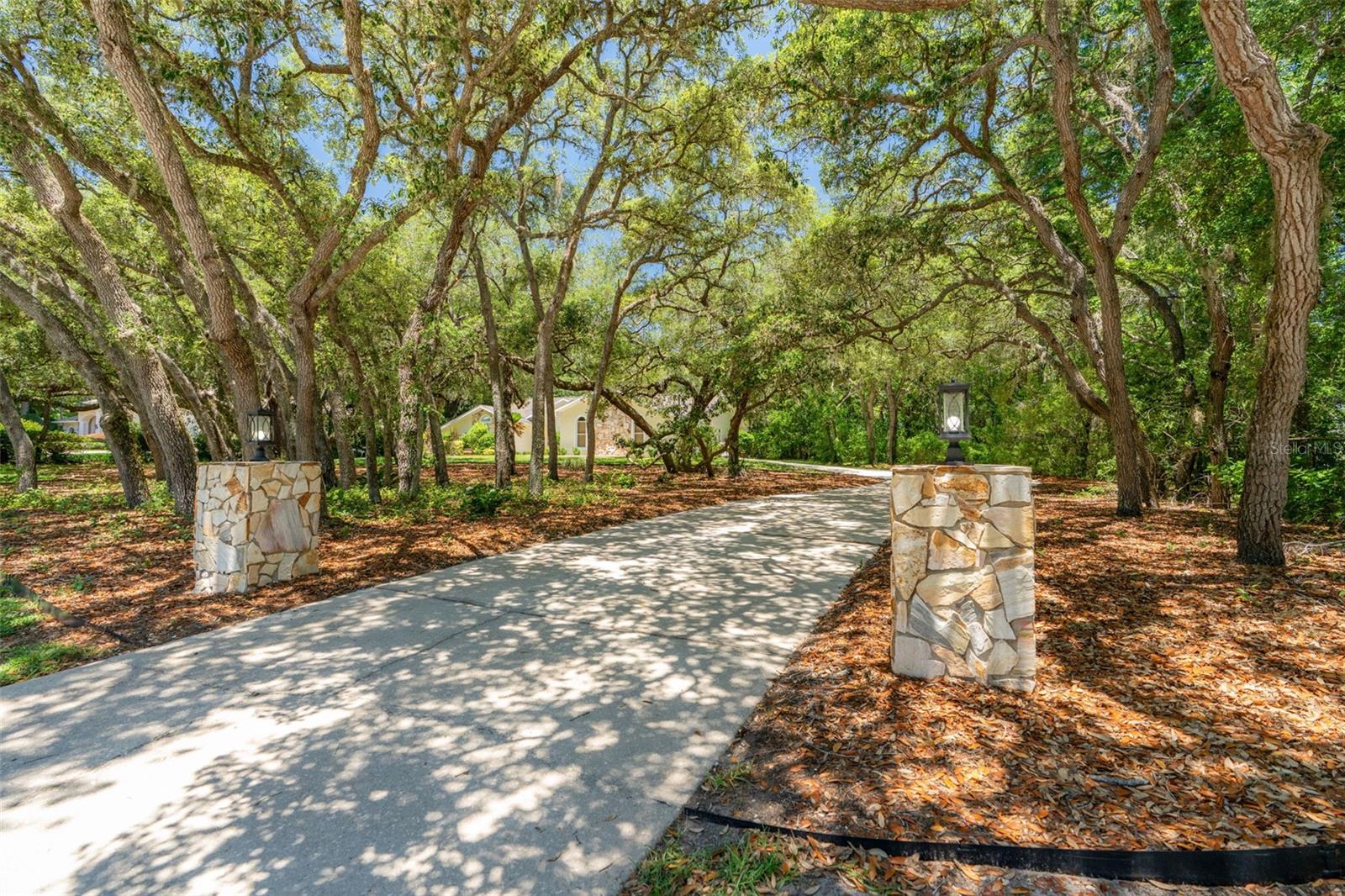 315 W BRITAIN ST, HERNANDO, FL, 34442