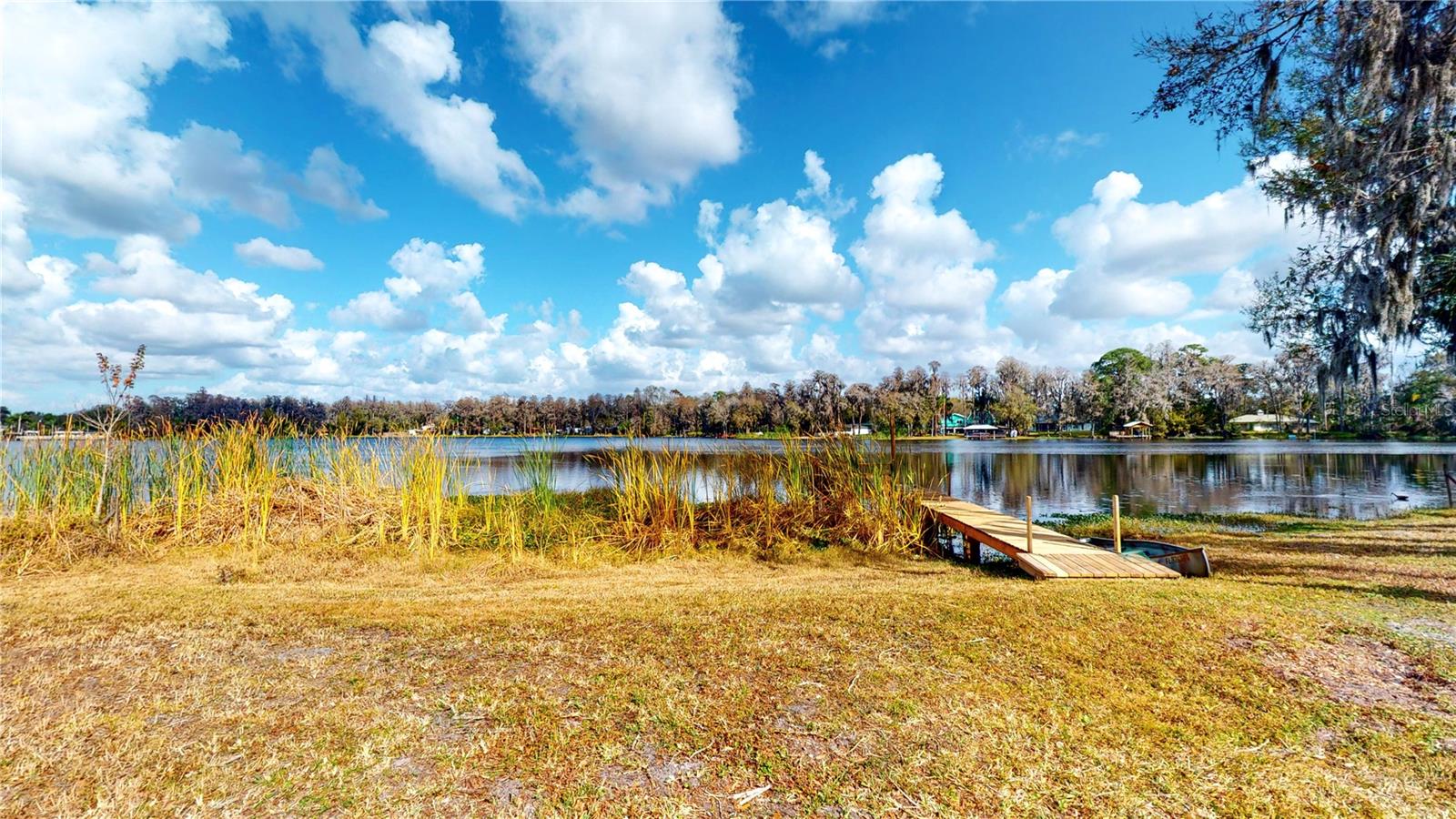 19803 READING RD, LUTZ, FL, 33558