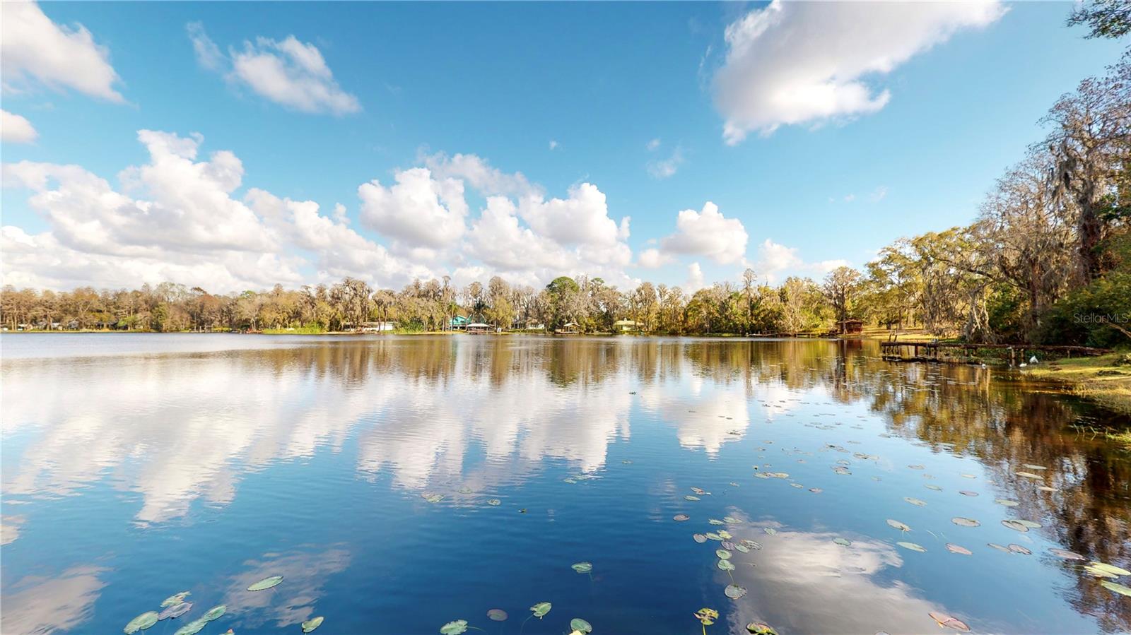 19803 READING RD, LUTZ, FL, 33558