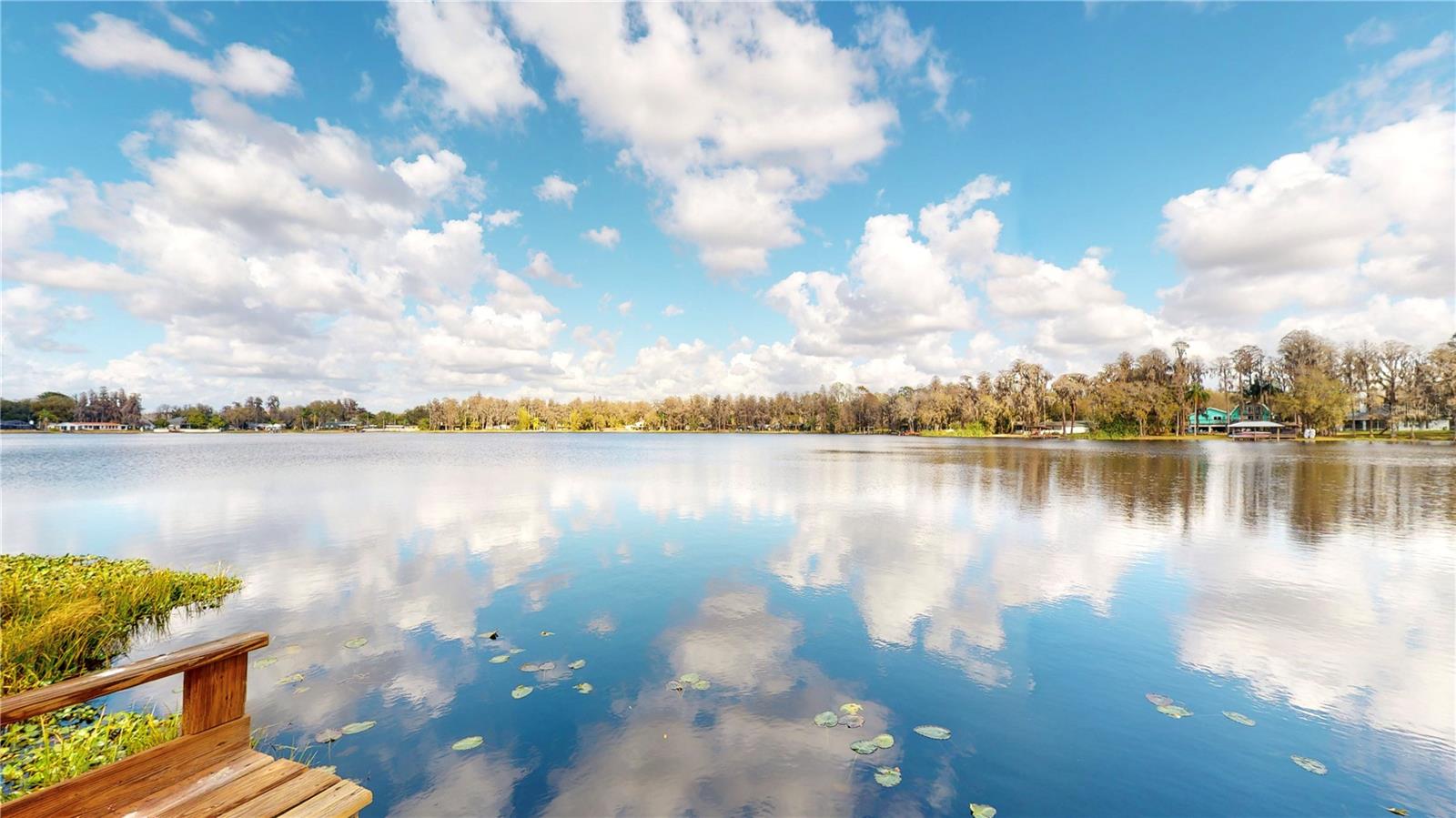 19803 READING RD, LUTZ, FL, 33558