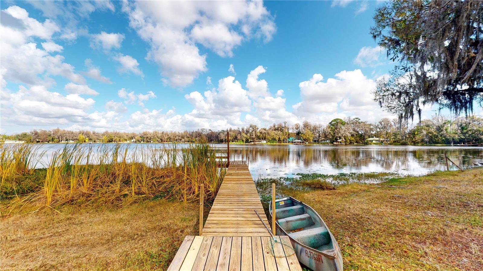 19803 READING RD, LUTZ, FL, 33558