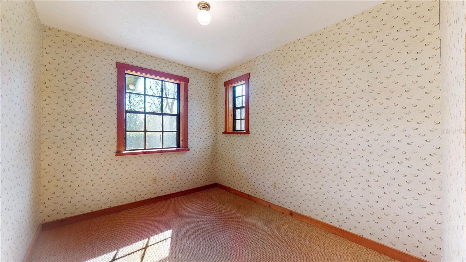 19803 READING RD, LUTZ, FL, 33558
