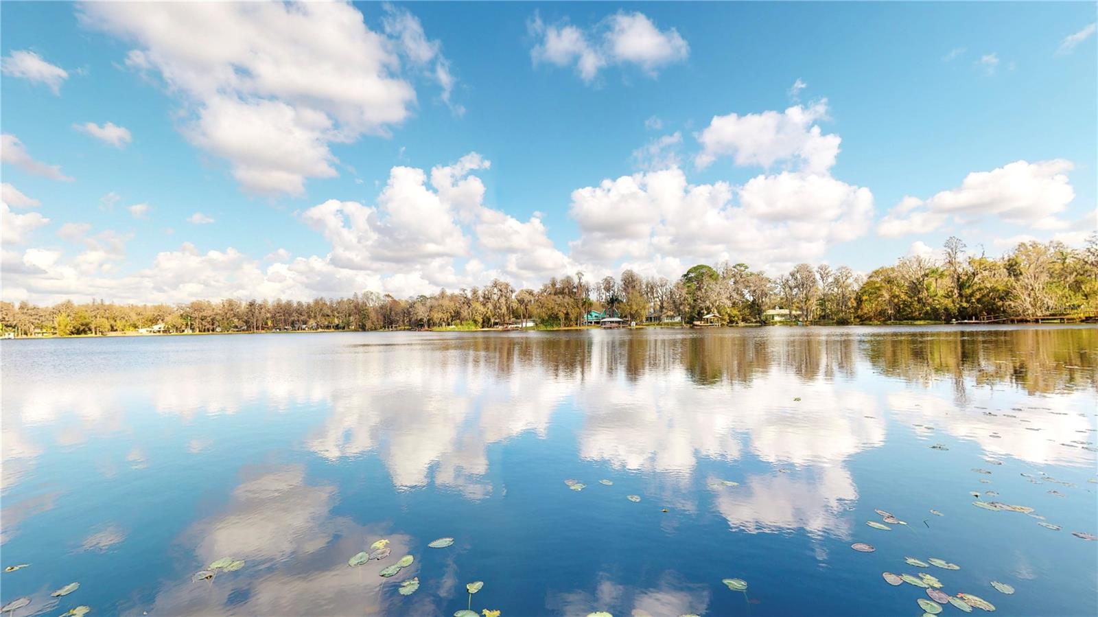 19803 READING RD, LUTZ, FL, 33558