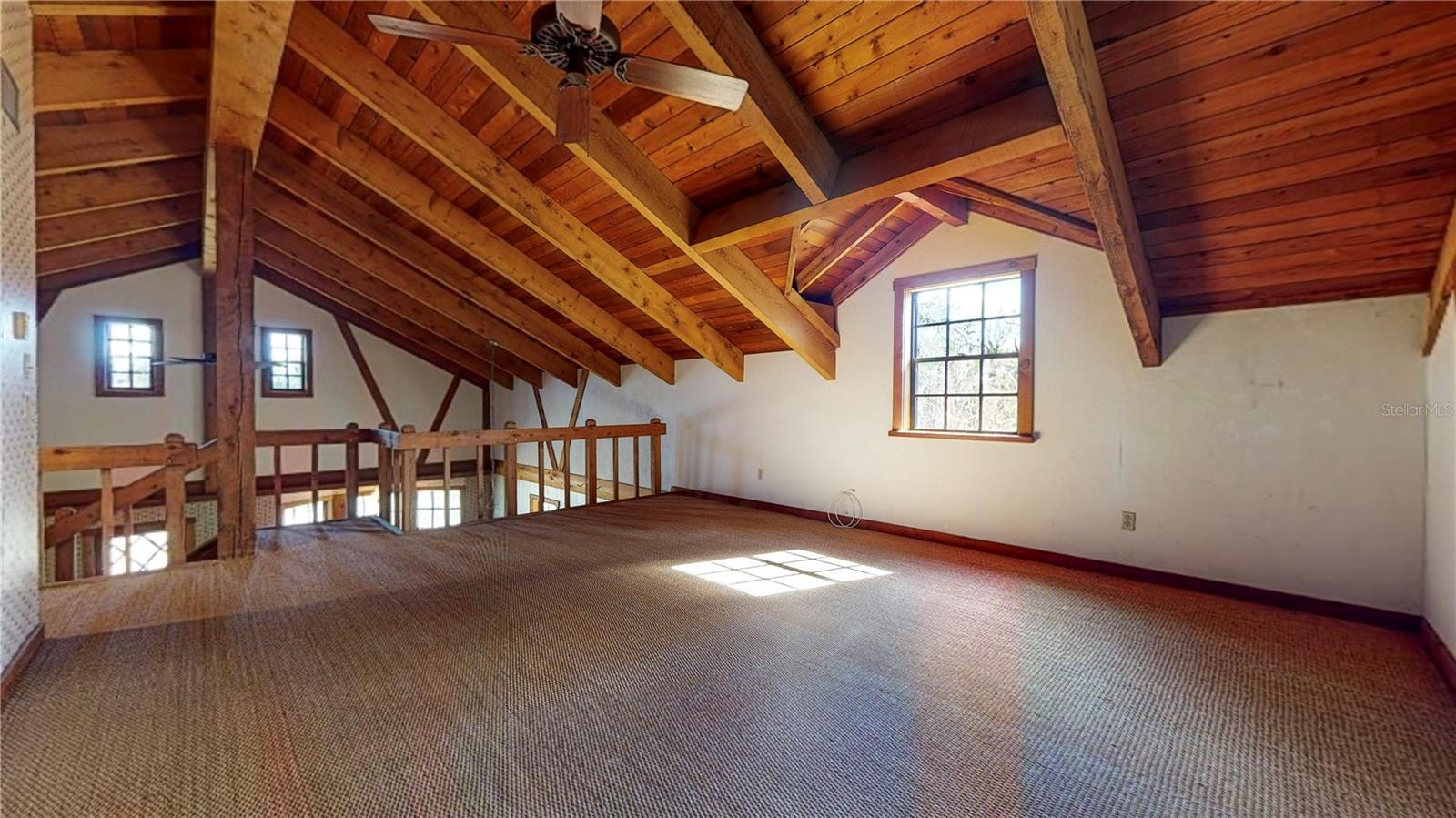 19803 READING RD, LUTZ, FL, 33558