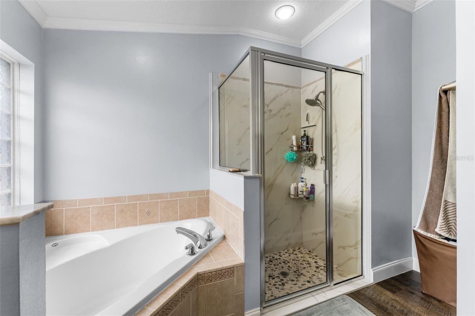 10161 SE 67TH TER, BELLEVIEW, FL, 34420
