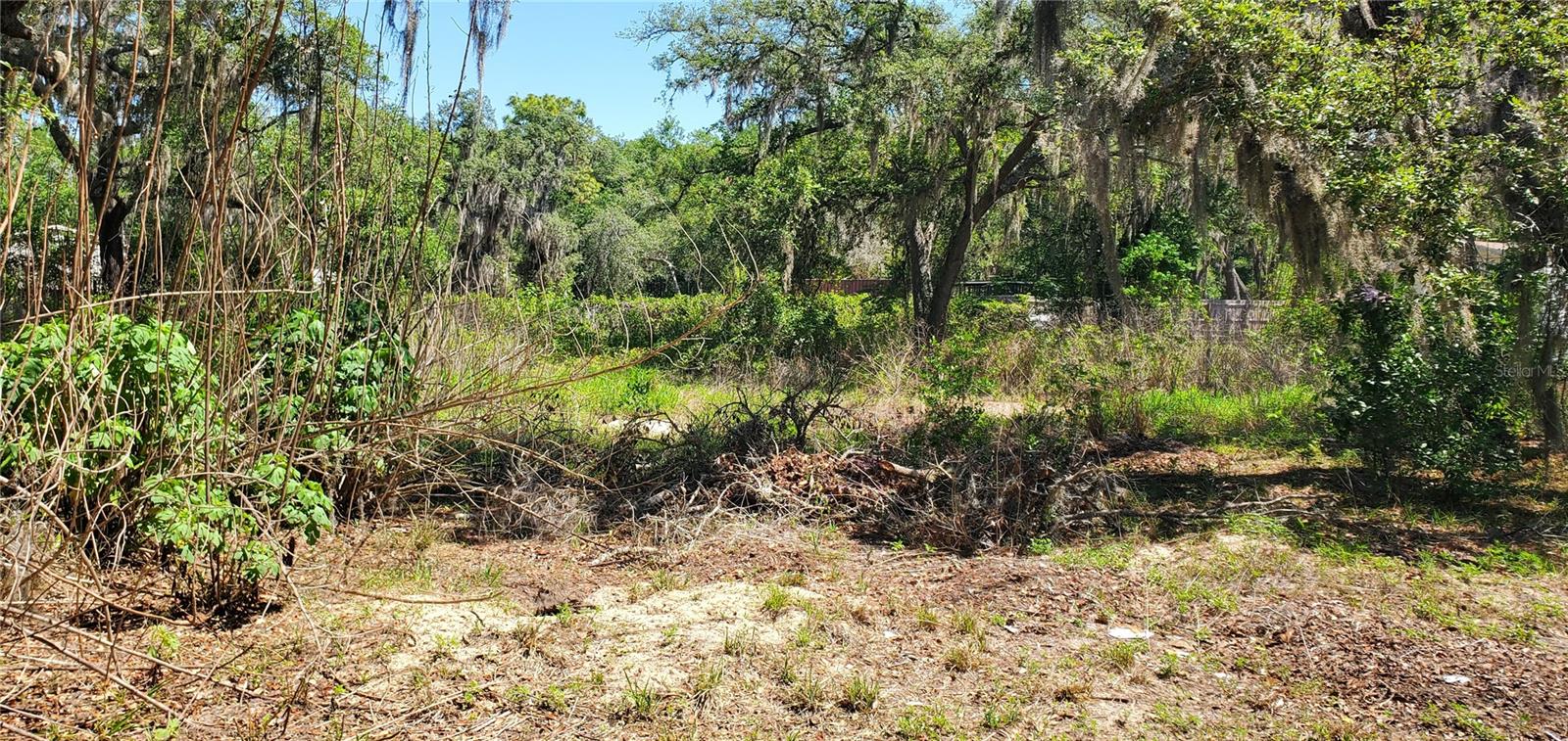 11939 BEMONT AVE, NEW PORT RICHEY, FL, 34654