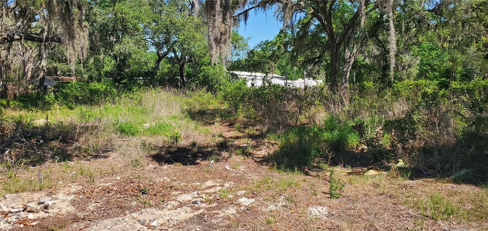 11939 BEMONT AVE, NEW PORT RICHEY, FL, 34654