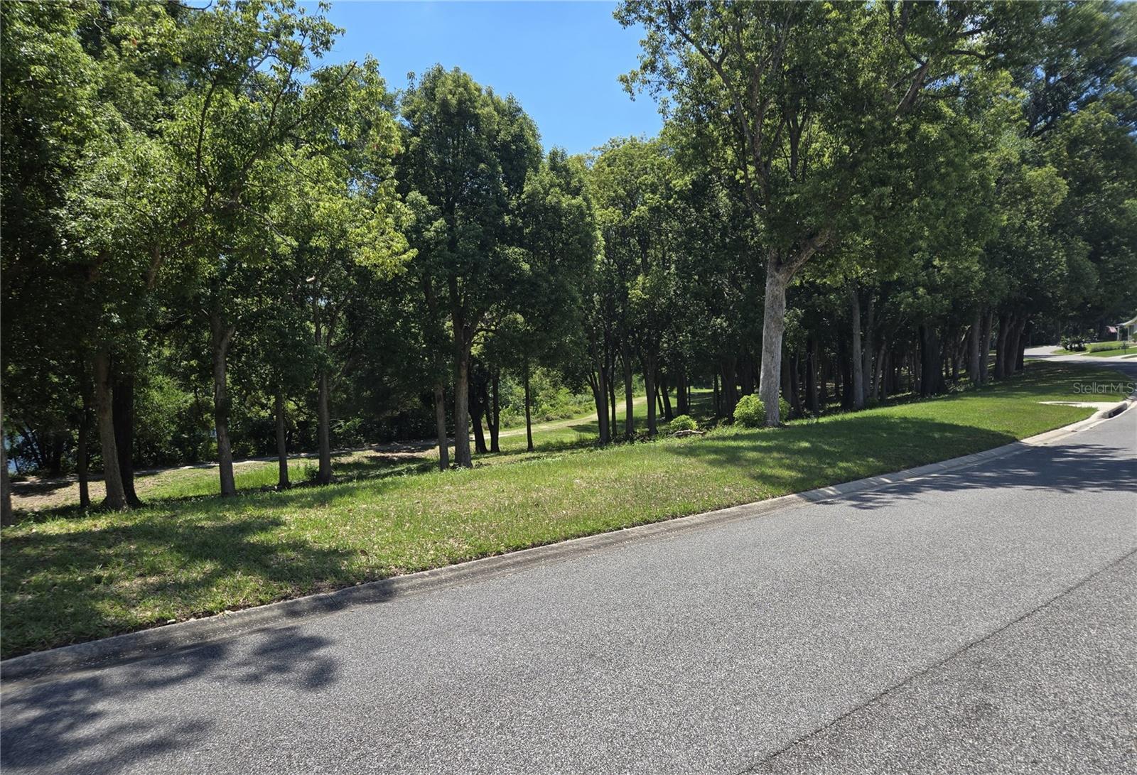 4007 COHEN DR #742, ZELLWOOD, FL, 32798