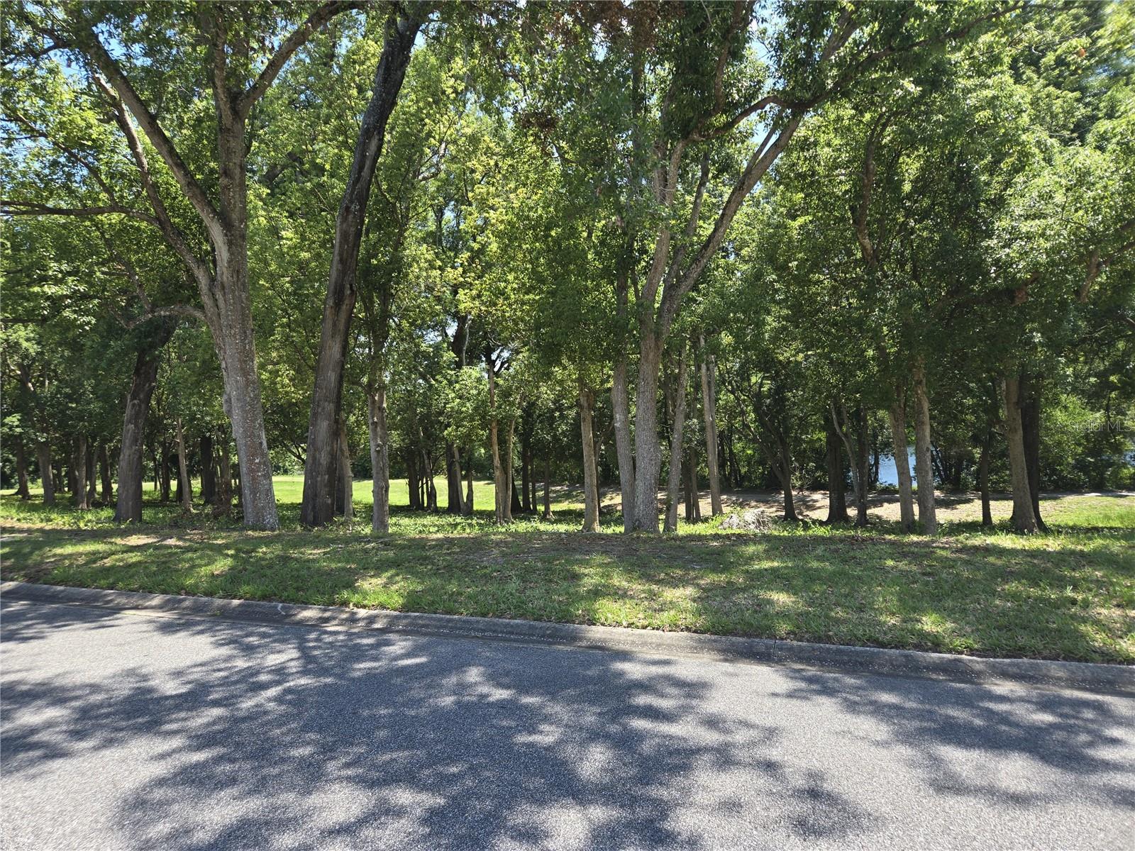 4007 COHEN DR #742, ZELLWOOD, FL, 32798