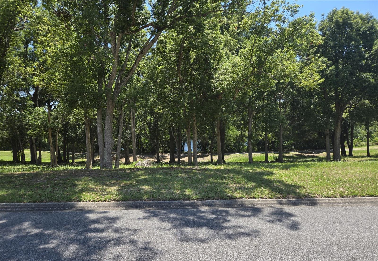 4007 COHEN DR #742, ZELLWOOD, FL, 32798