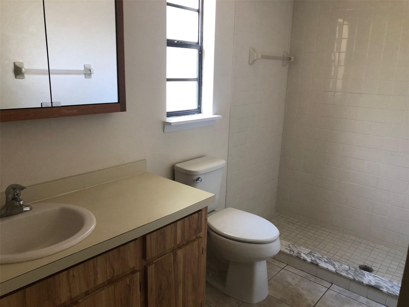 625 E 8TH AVE, MOUNT DORA, FL, 32757