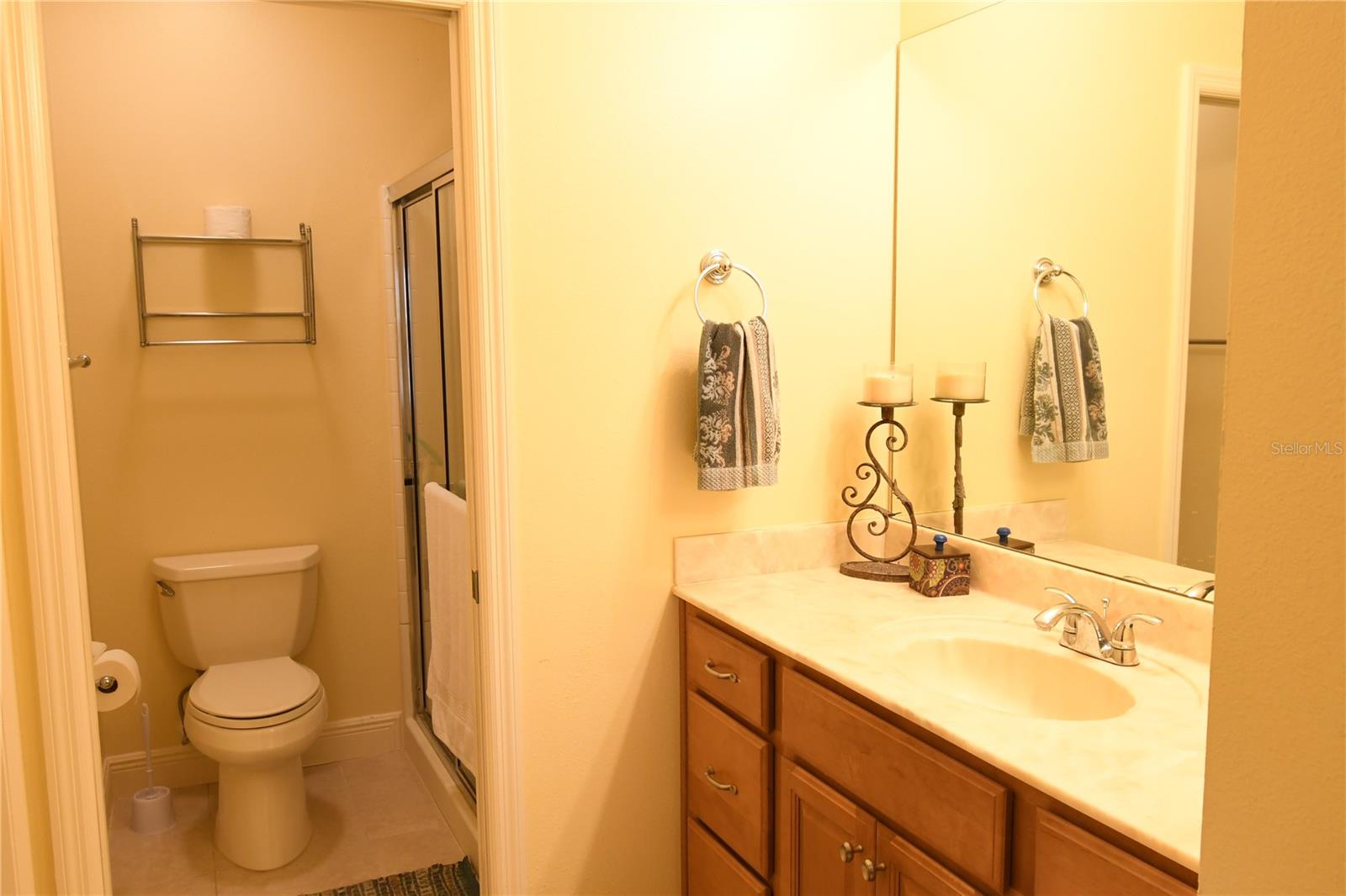 2372 TRAVIS PL, THE VILLAGES, FL, 32162