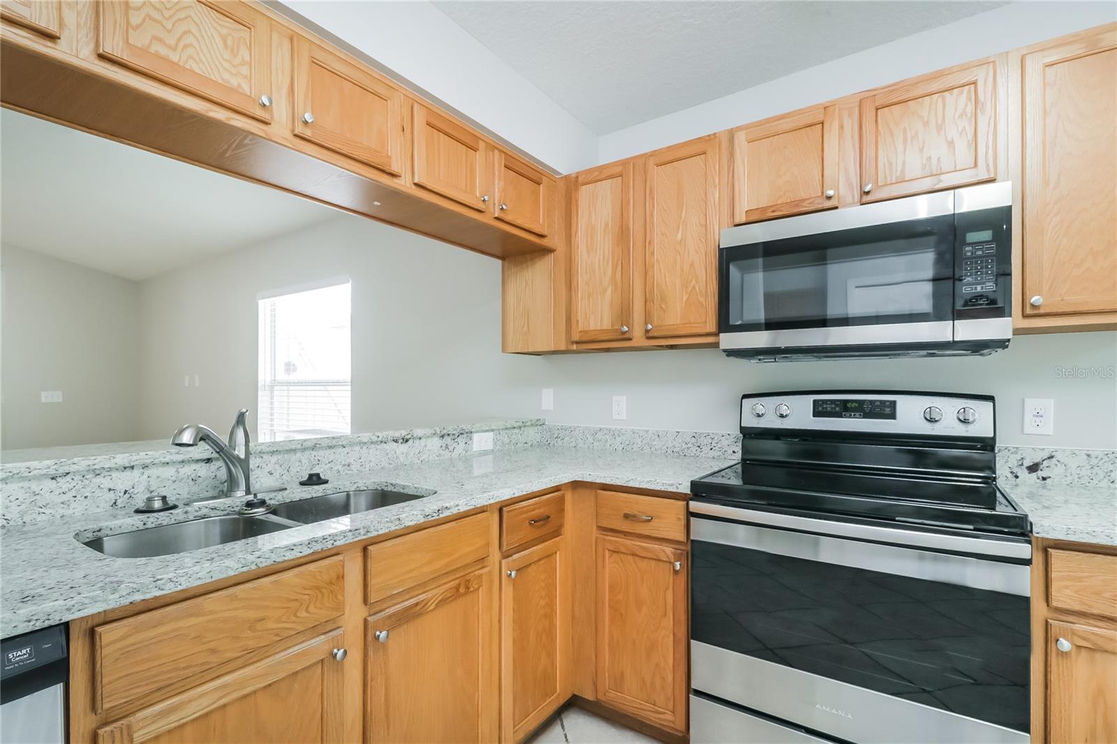 21034 GREEN WING CT, LAND O LAKES, FL, 34637