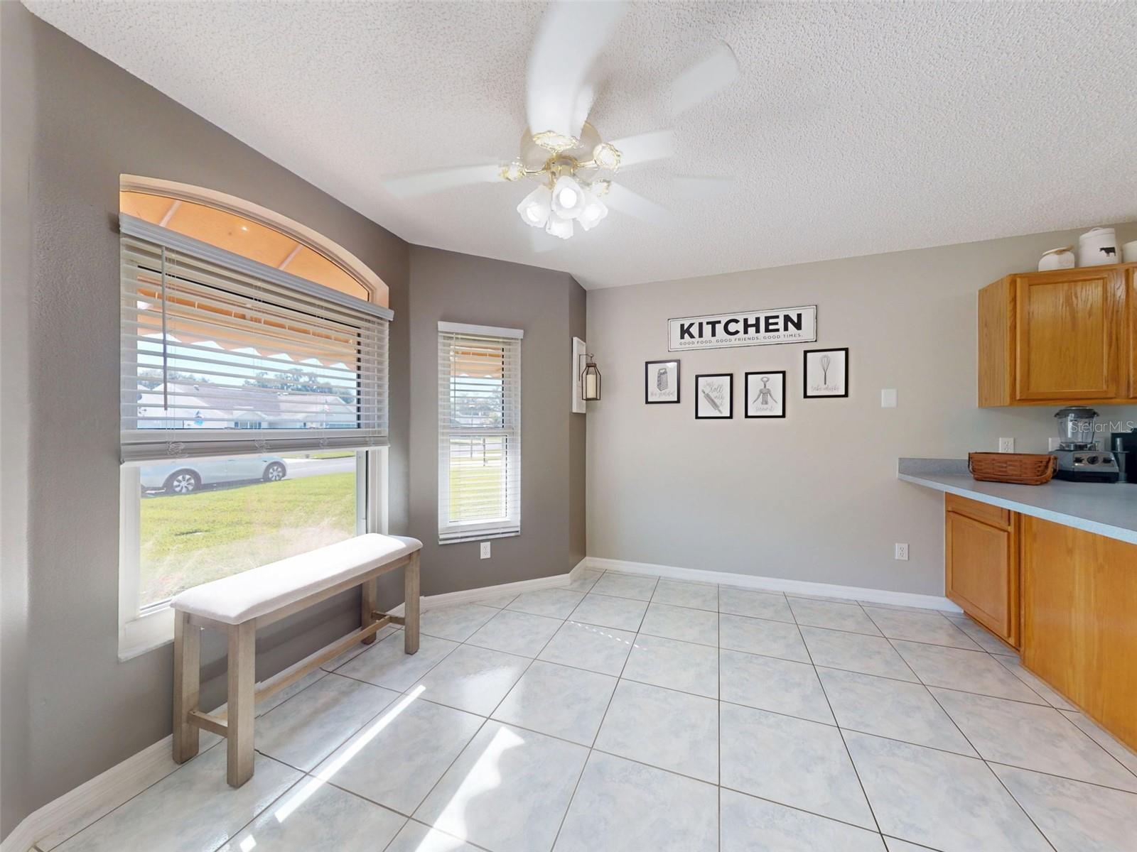 714 DEL ROSARIO ST, THE VILLAGES, FL, 32159