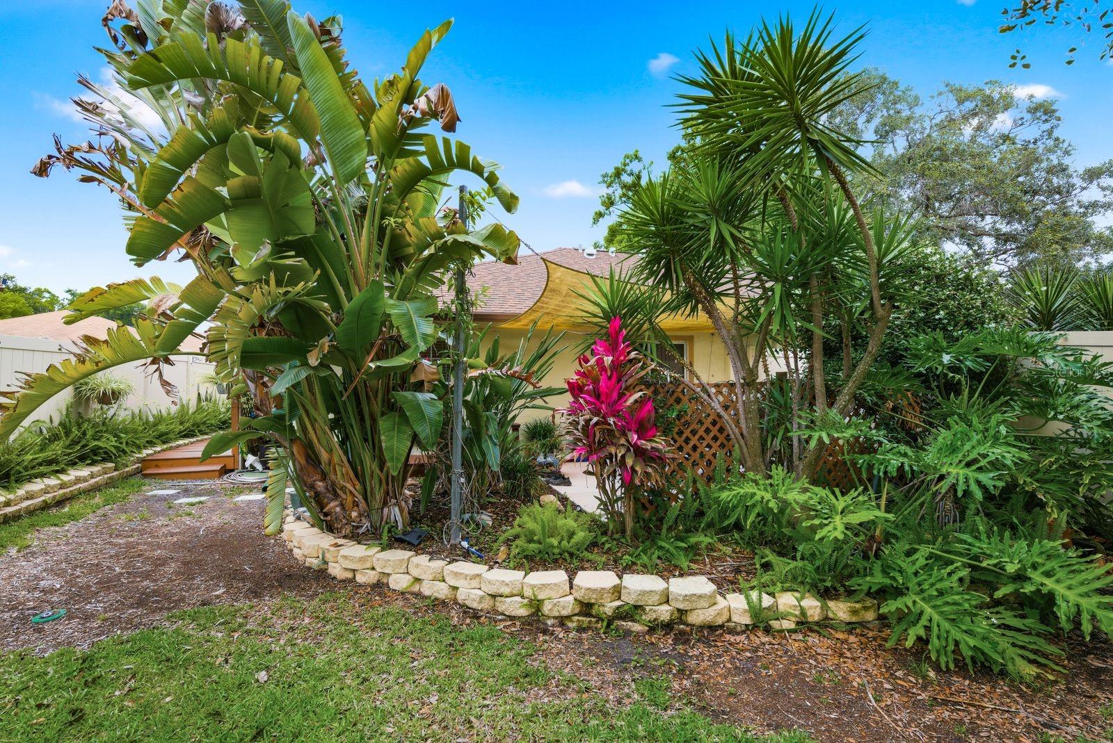 2696 RAE CT, PALM HARBOR, FL, 34684