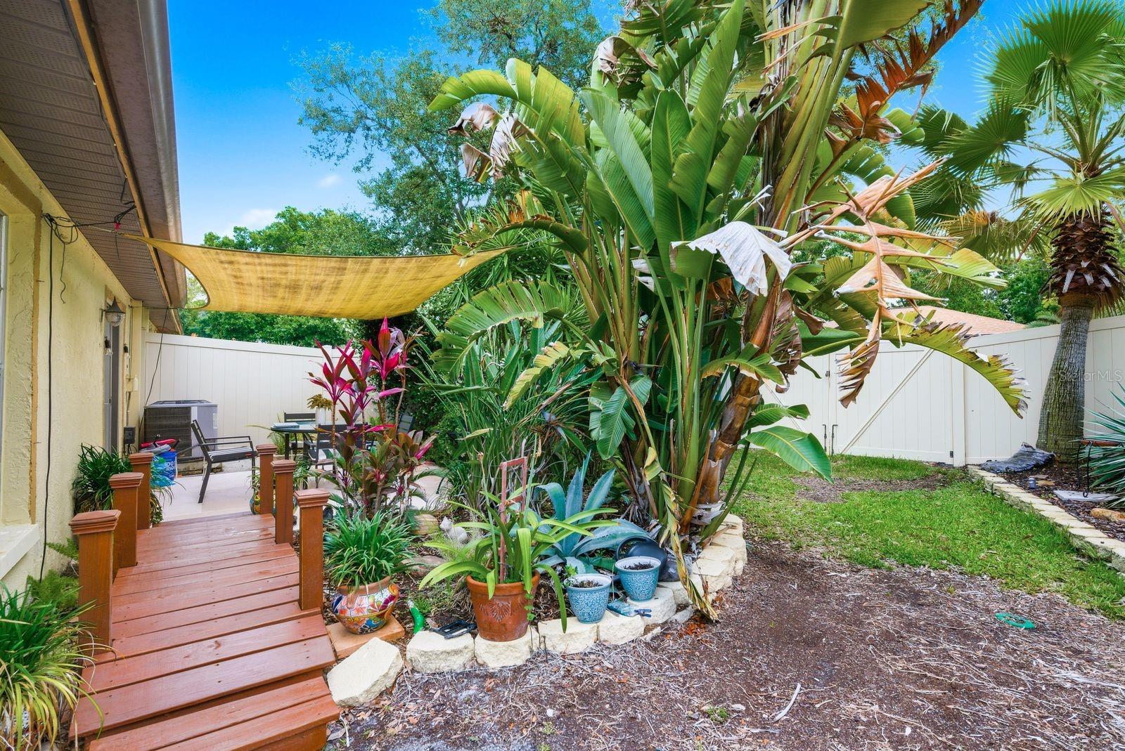 2696 RAE CT, PALM HARBOR, FL, 34684