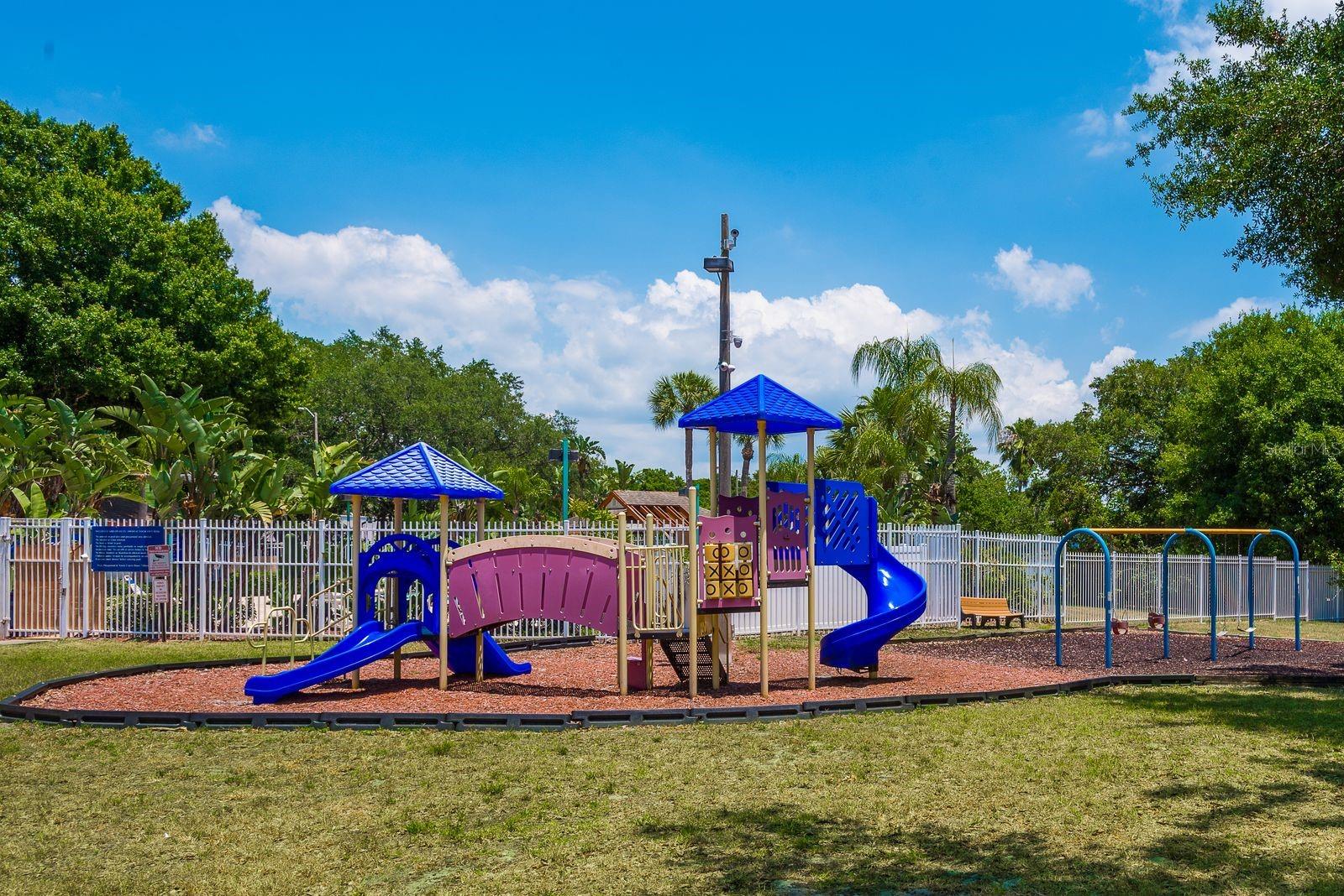 2696 RAE CT, PALM HARBOR, FL, 34684