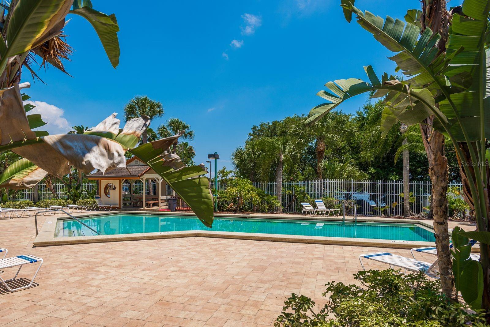 2696 RAE CT, PALM HARBOR, FL, 34684