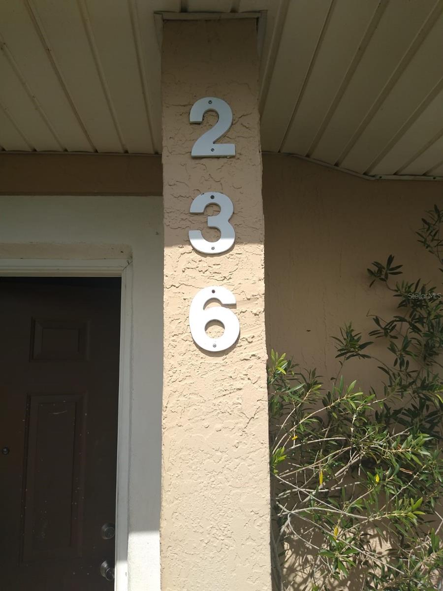 236 RONTUNDA DR, KISSIMMEE, FL, 34758