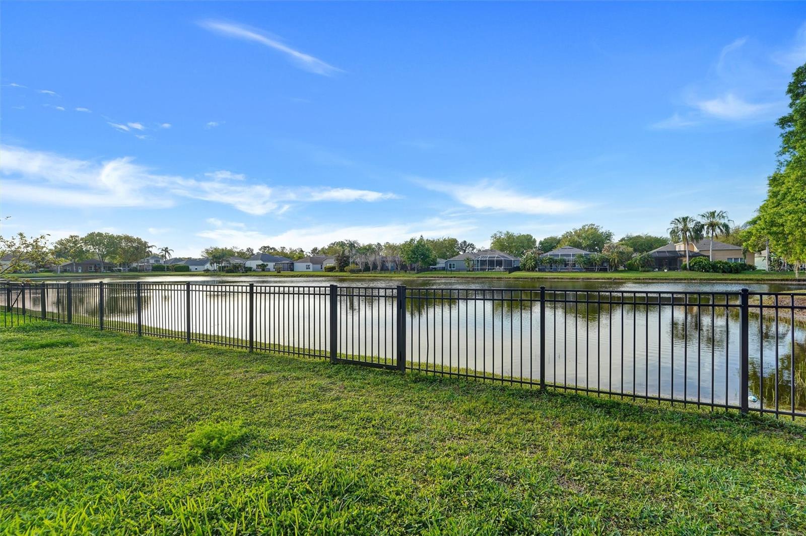 19111 FERN MEADOW LOOP, LUTZ, FL, 33558