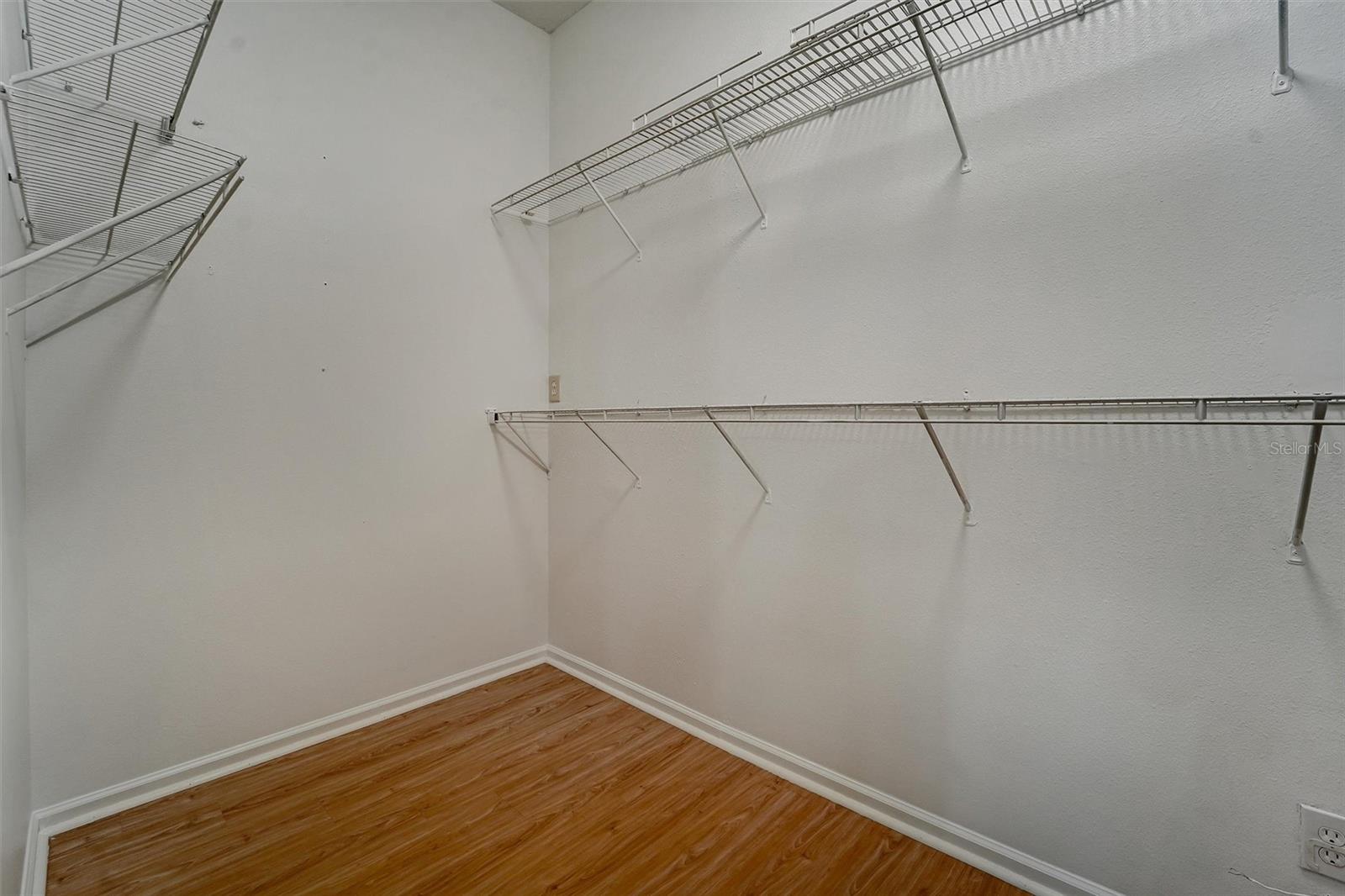 19111 FERN MEADOW LOOP, LUTZ, FL, 33558