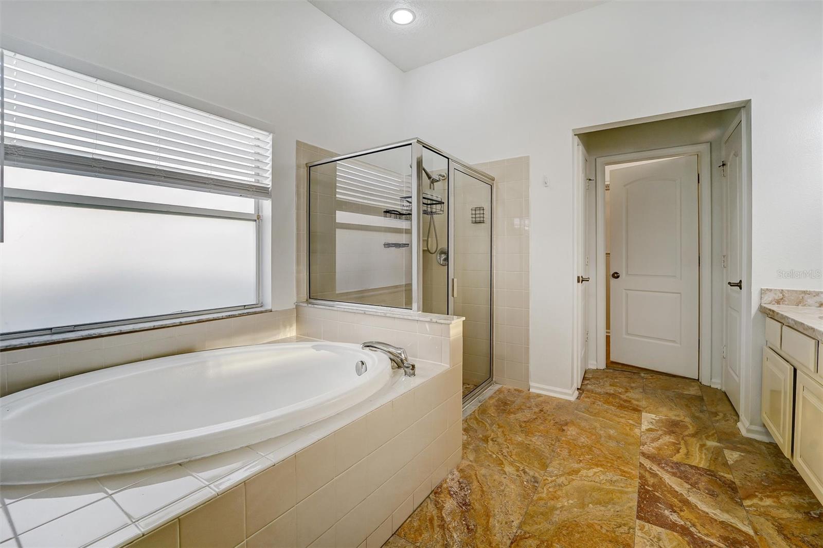 19111 FERN MEADOW LOOP, LUTZ, FL, 33558