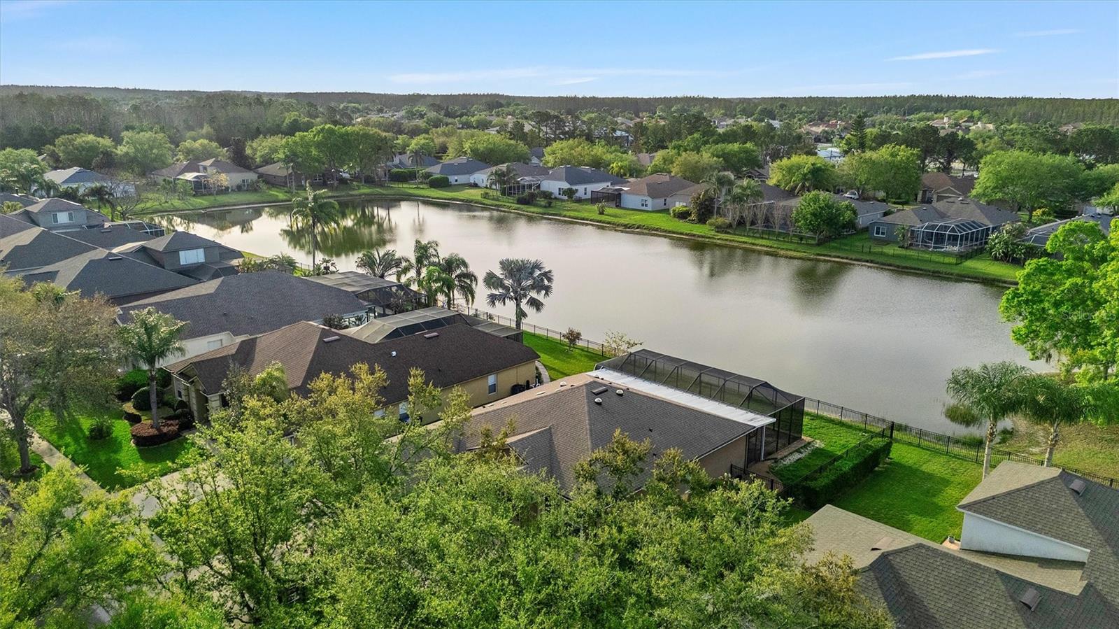 19111 FERN MEADOW LOOP, LUTZ, FL, 33558