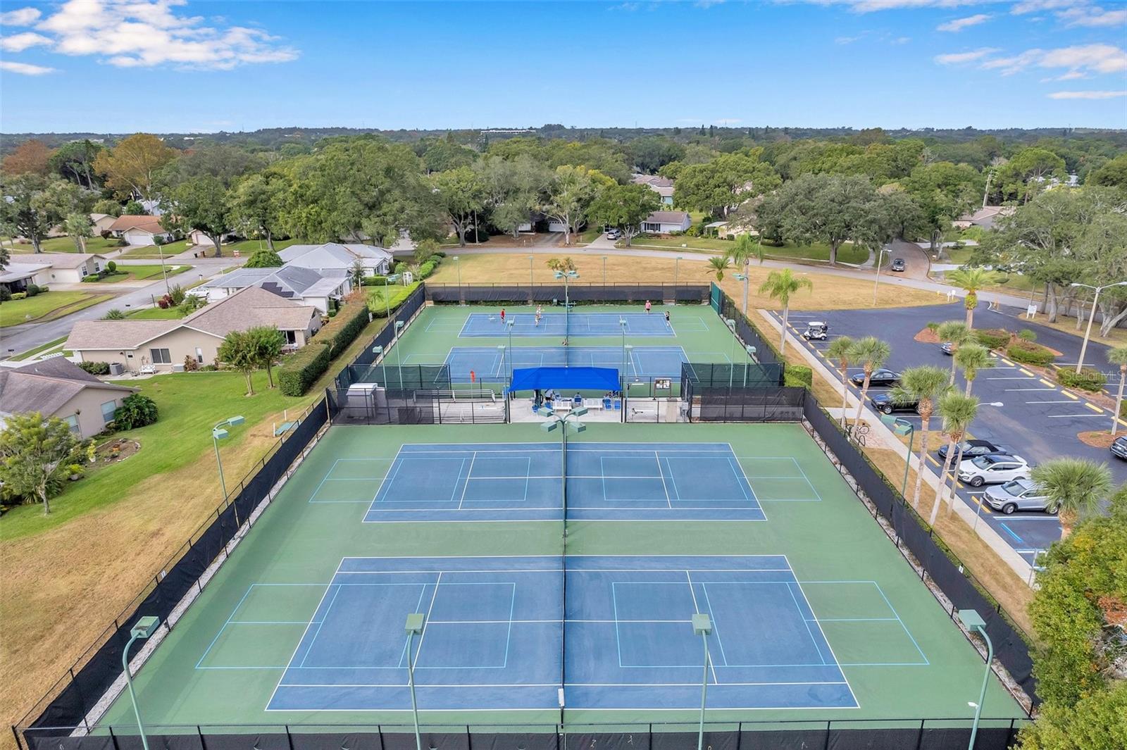2291 SHELLY DR #D, PALM HARBOR, FL, 34684