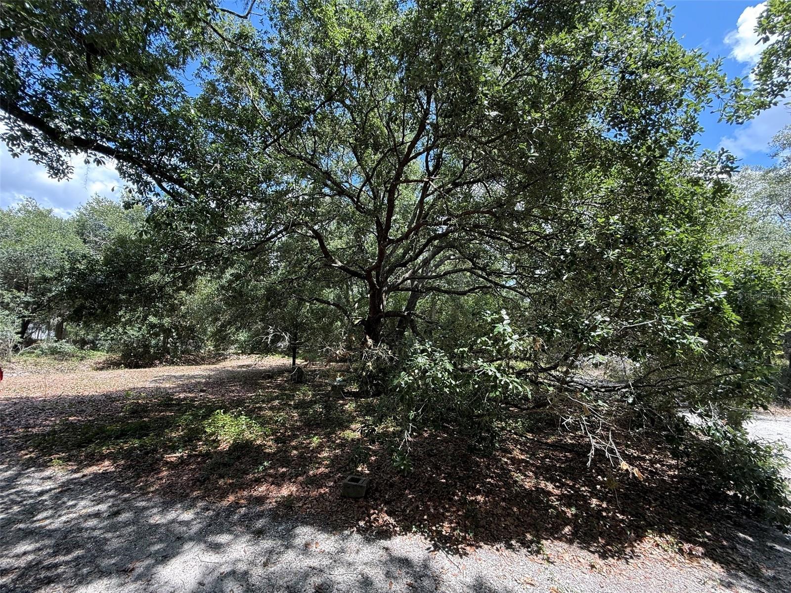 18561 NW 306TH ST, OKEECHOBEE, FL, 34972