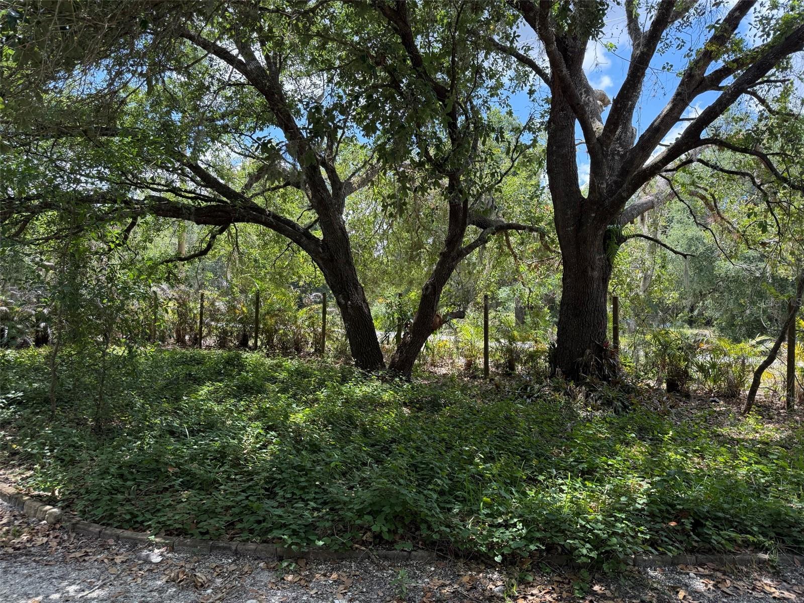 18561 NW 306TH ST, OKEECHOBEE, FL, 34972