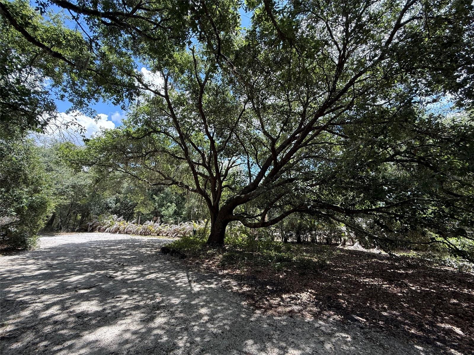 18561 NW 306TH ST, OKEECHOBEE, FL, 34972