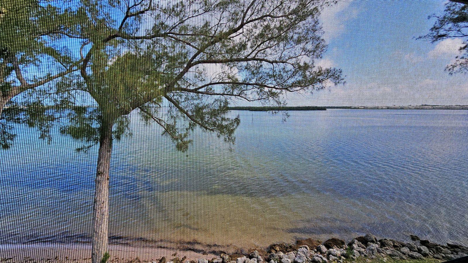 3840 MARINERS WAY #524A, CORTEZ, FL, 34215