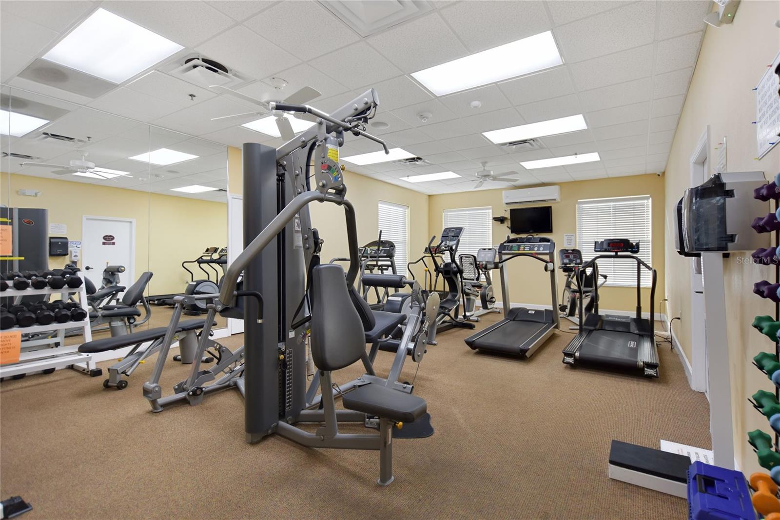 455 ASHTON DR, DAVENPORT, FL, 33837