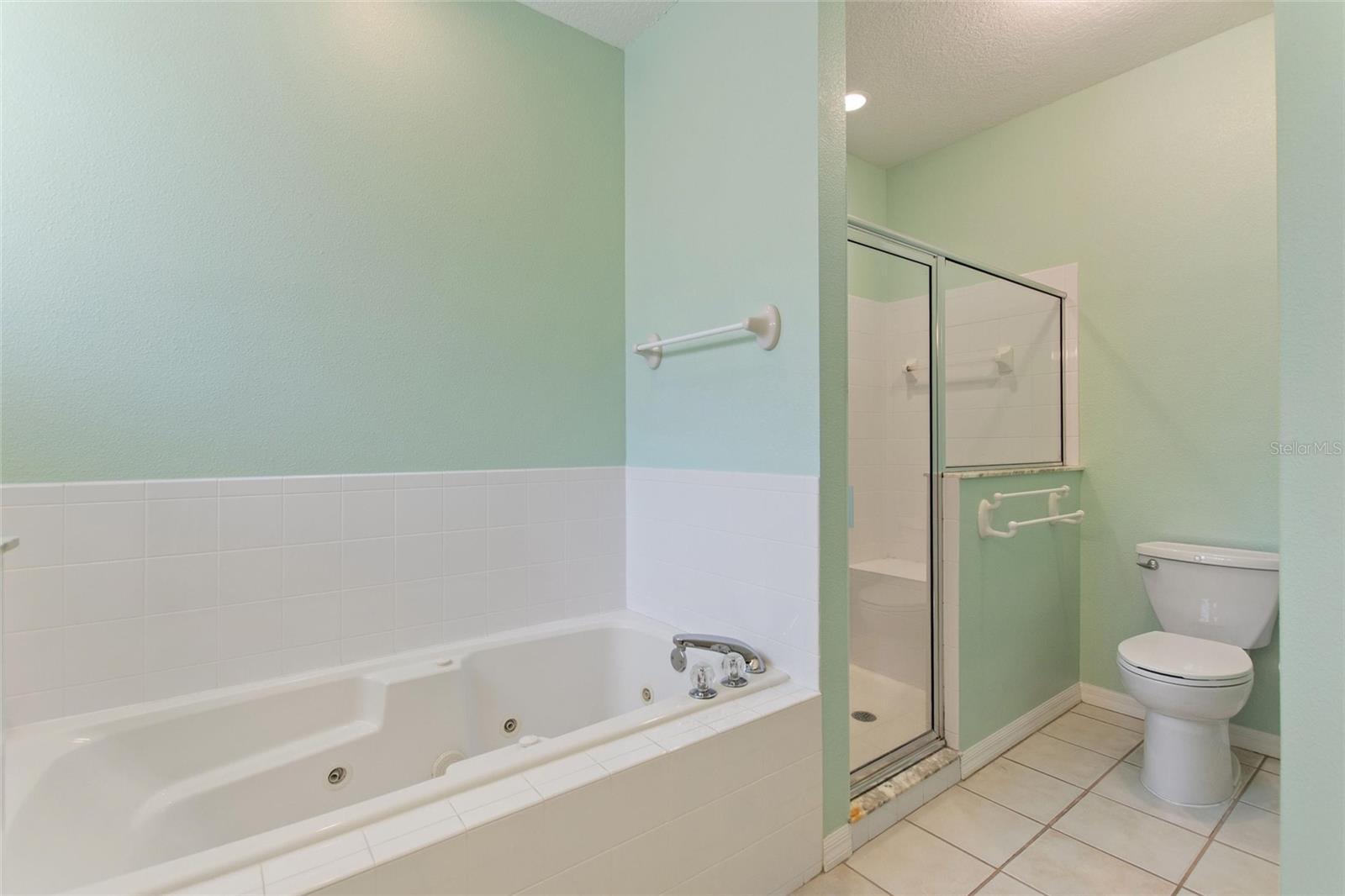 455 ASHTON DR, DAVENPORT, FL, 33837