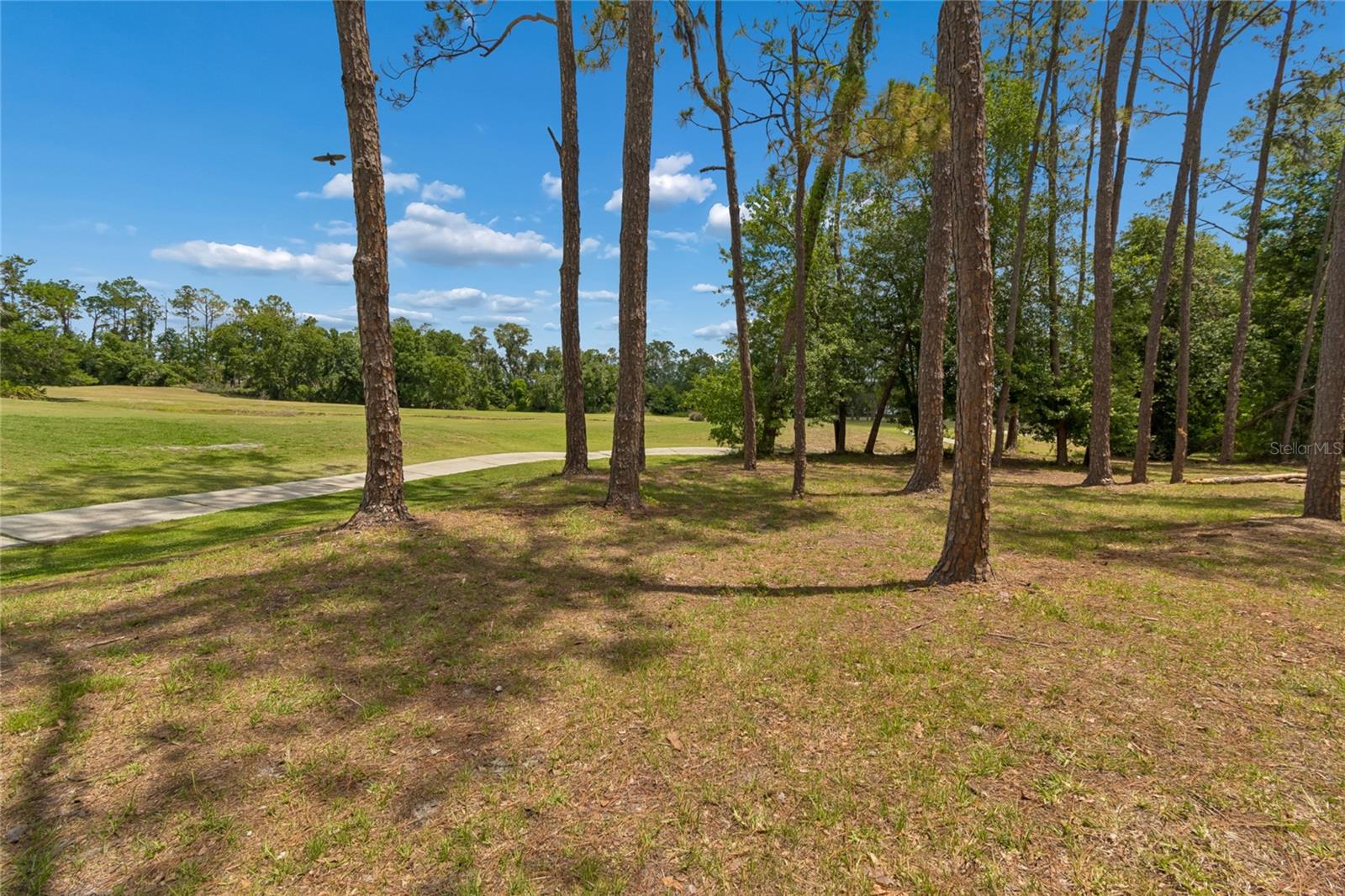 34821 TURNBURY CT, ZEPHYRHILLS, FL, 33541