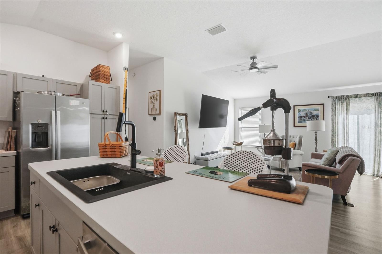 862 SPRING AVE, THE VILLAGES, FL, 34762