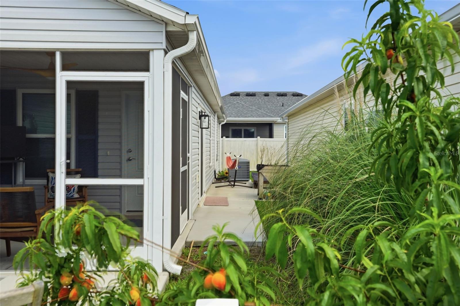 862 SPRING AVE, THE VILLAGES, FL, 34762