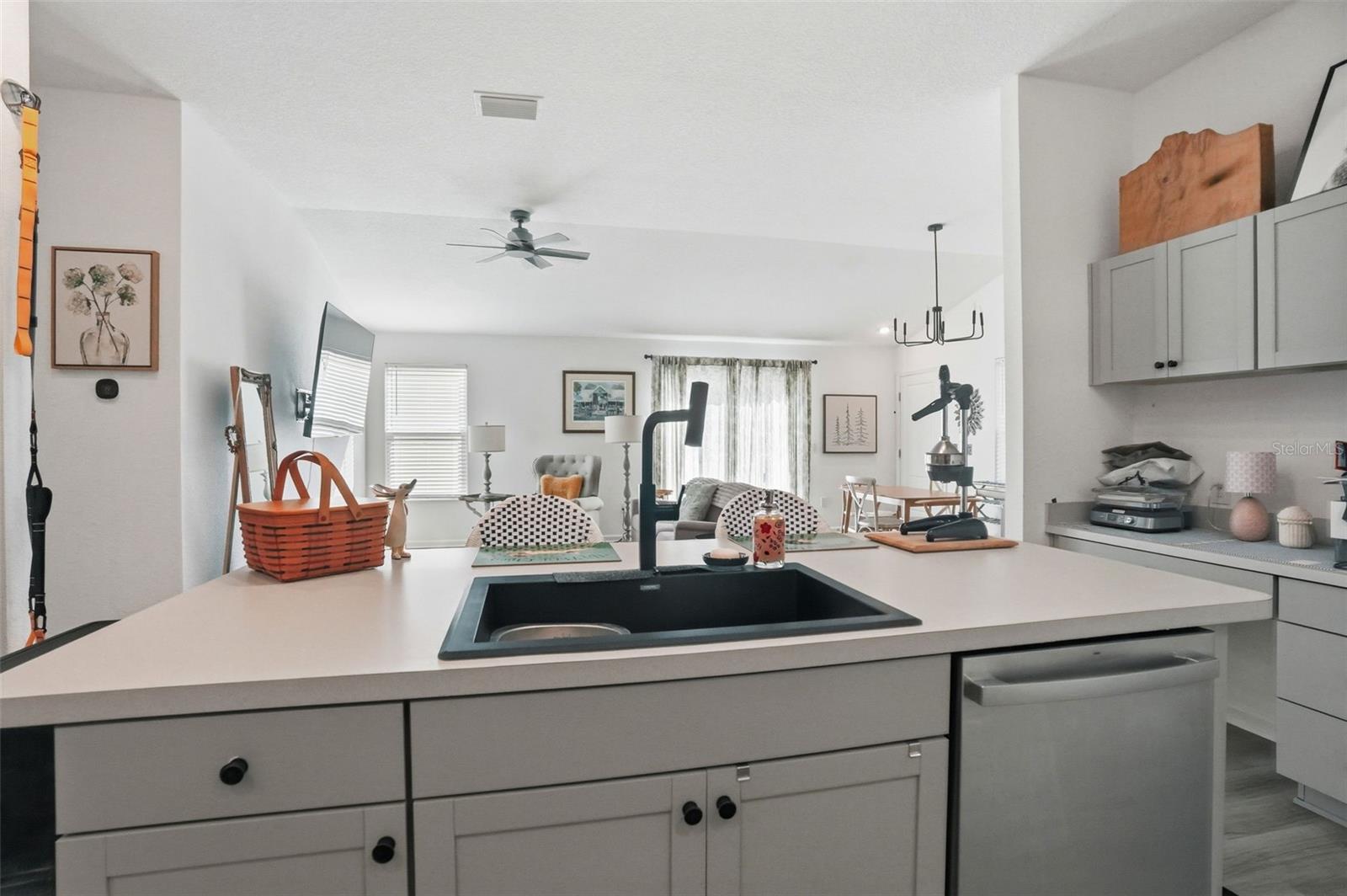 862 SPRING AVE, THE VILLAGES, FL, 34762