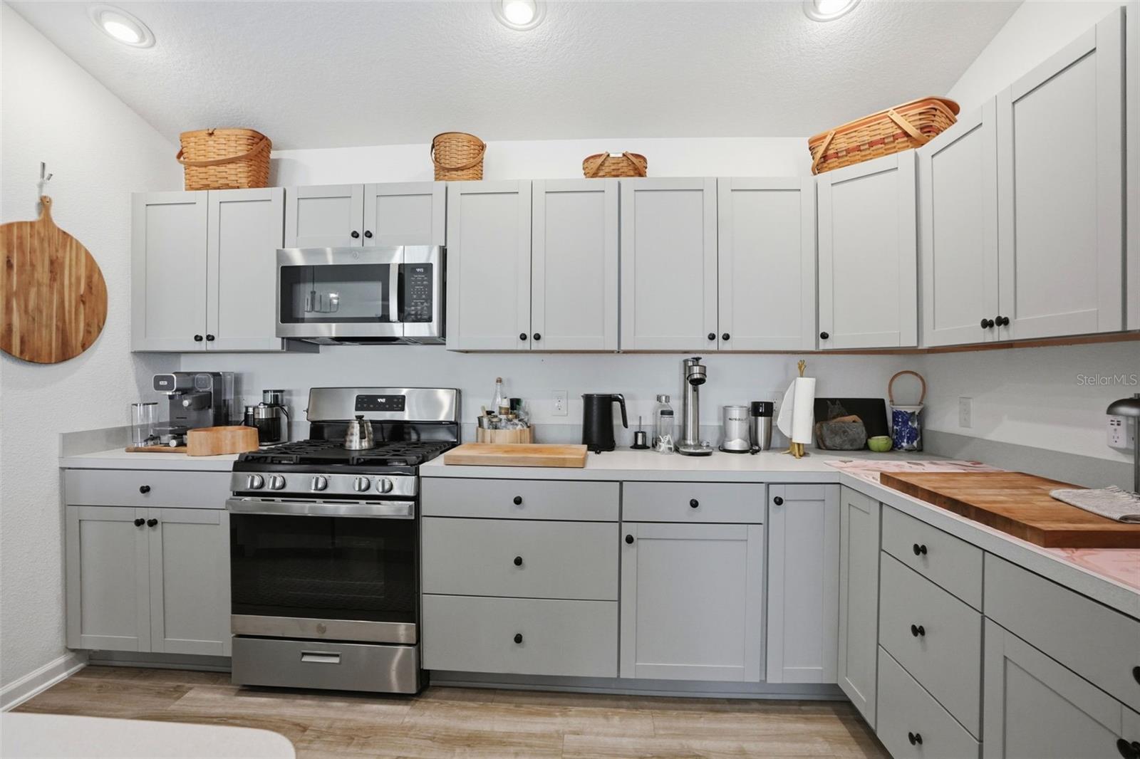 862 SPRING AVE, THE VILLAGES, FL, 34762