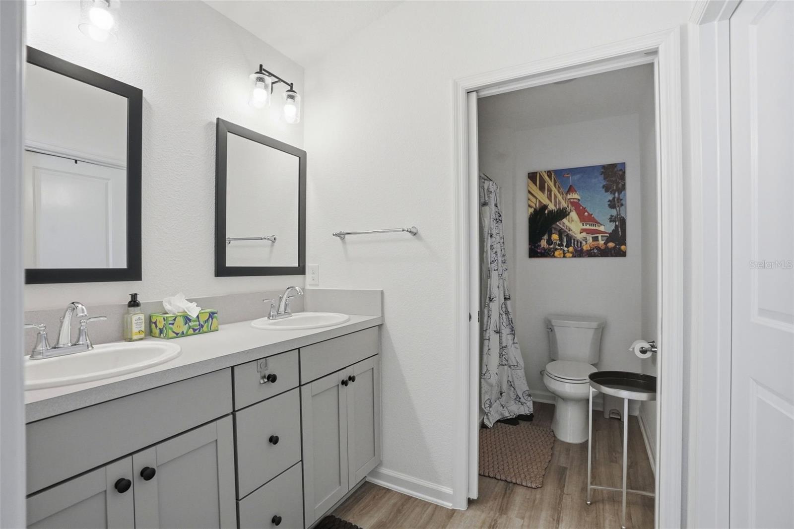 862 SPRING AVE, THE VILLAGES, FL, 34762