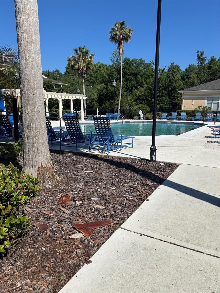 5125 PALM SPRINGS BLVD #1202, TAMPA, FL, 33647