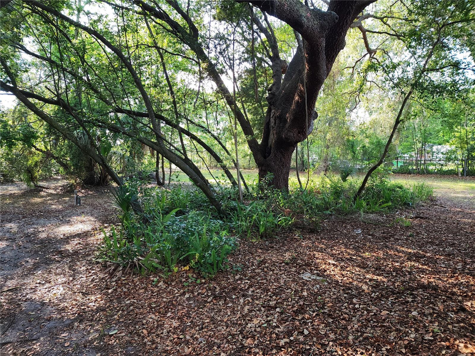 1006 VIRGINIA AVE, ALTAMONTE SPRINGS, FL, 32701
